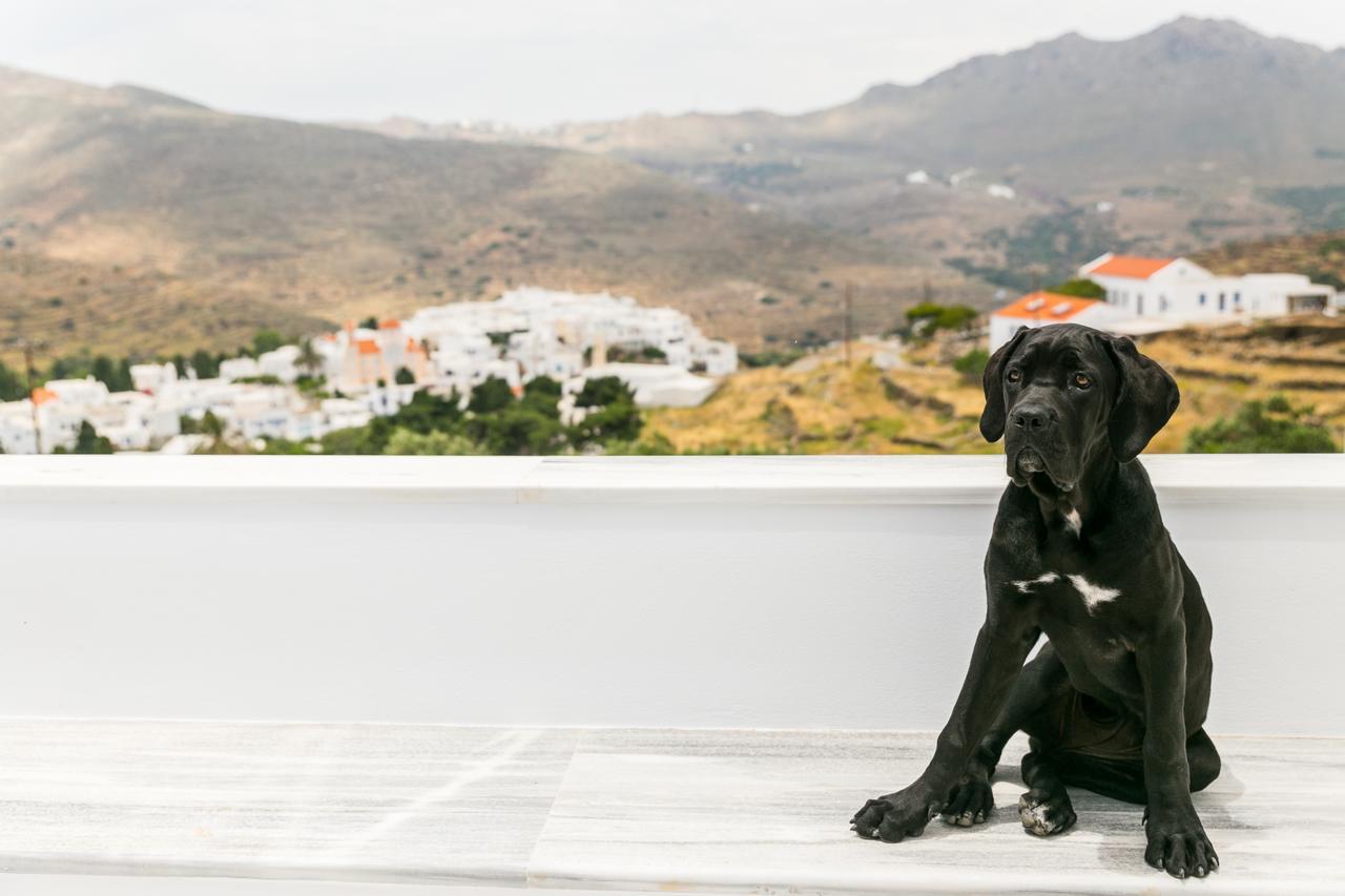 Imarkellis Boutique Villas Pánormos Dış mekan fotoğraf